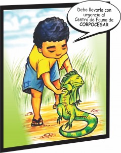 7 - Fundación Hidrobiológica George Dahl