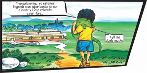 9 - Fundación Hidrobiológica George Dahl