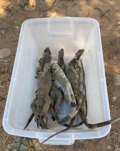 83503323_2751228681622262_5084209592959762432_o - Fundación Hidrobiológica George Dahl