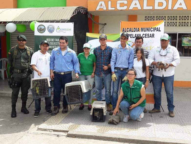 38444475_538973746519180_3347999398905774080_n - Fundación Hidrobiológica George Dahl