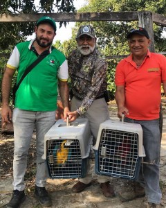 INCAUTACIONES DE GUACAMAYAS EN MANAURE, CESAR - Fundación Hidrobiológica George Dahl