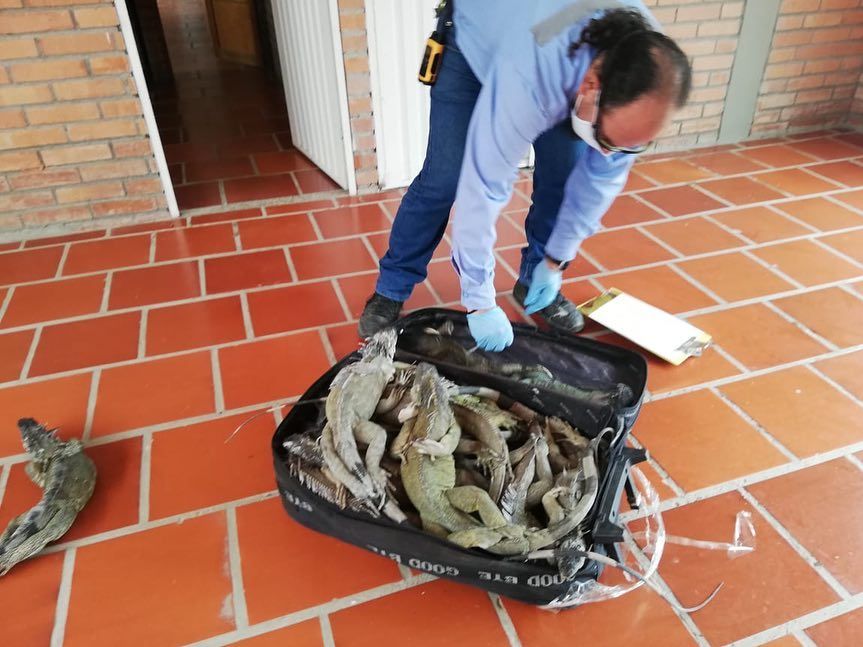 56541907_681590322257521_164161883505426432_n - Fundación Hidrobiológica George Dahl