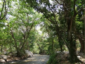 Porque la naturaleza es sagrada, Seamos Silvestres - Fundación Hidrobiológica George Dahl
