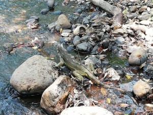 57221209_683898335360053_3539199664907616256_n - Fundación Hidrobiológica George Dahl