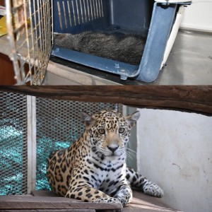 Aprovechamiento y rehabilitación - Fundación Hidrobiológica George Dahl