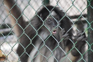 59384721_694715244278362_4300588029505961984_n - Fundación Hidrobiológica George Dahl