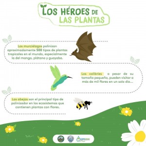 NO ESTIGMATICES A LOS MURCIÉLAGOS - Fundación Hidrobiológica George Dahl