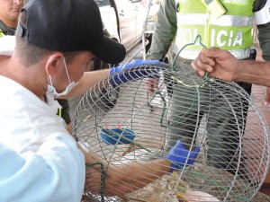 37958104_532236737192881_8222607475354894336_n - Fundación Hidrobiológica George Dahl