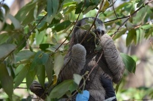 52592491_654072735009280_5496557926896107520_n - Fundación Hidrobiológica George Dahl