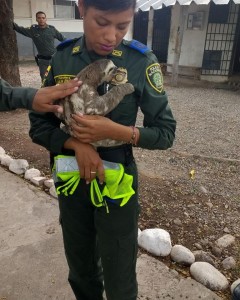 36711067_510849752664913_7301460659651215360_n - Fundación Hidrobiológica George Dahl