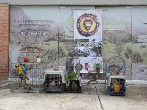83158328_890611748022043_7637426298763083776_n - Fundación Hidrobiológica George Dahl