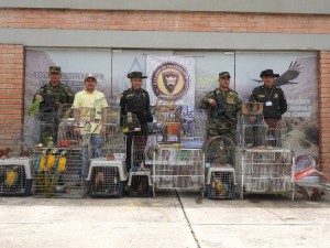 QUÉ ES EL CICTIES? - Fundación Hidrobiológica George Dahl