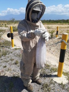 RESCATE Y REUBICACIÓN DE ABEJAS DRUMMOND LTD - Fundación Hidrobiológica George Dahl