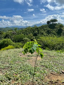 WhatsApp Image 2022-12-15 at 12.23.24 PM - Fundación Hidrobiológica George Dahl