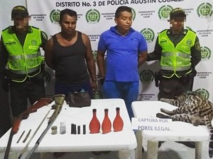 Capturados por tráfico ilegal de fauna silvestre - Fundación Hidrobiológica George Dahl