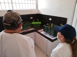 58049073_689634211453132_1714736126373134336_n - Fundación Hidrobiológica George Dahl
