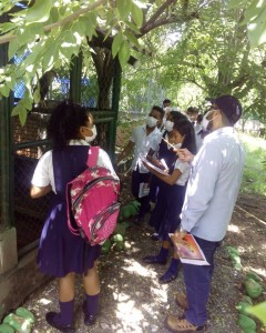 Recorrido CAVFFS - Fundación Hidrobiológica George Dahl