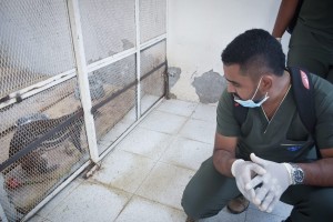 52688609_657525514664002_6694825528710397952_n - Fundación Hidrobiológica George Dahl