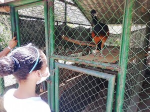 56247898_677476339335586_4380777744686907392_n - Fundación Hidrobiológica George Dahl