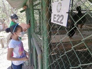 EDUCACIÓN AMBIENTAL EN EL CAVFFS DE CORPOCESAR - Fundación Hidrobiológica George Dahl